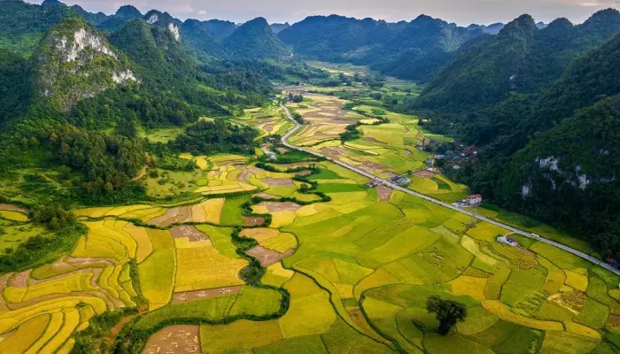اندونزی (Indonesia)