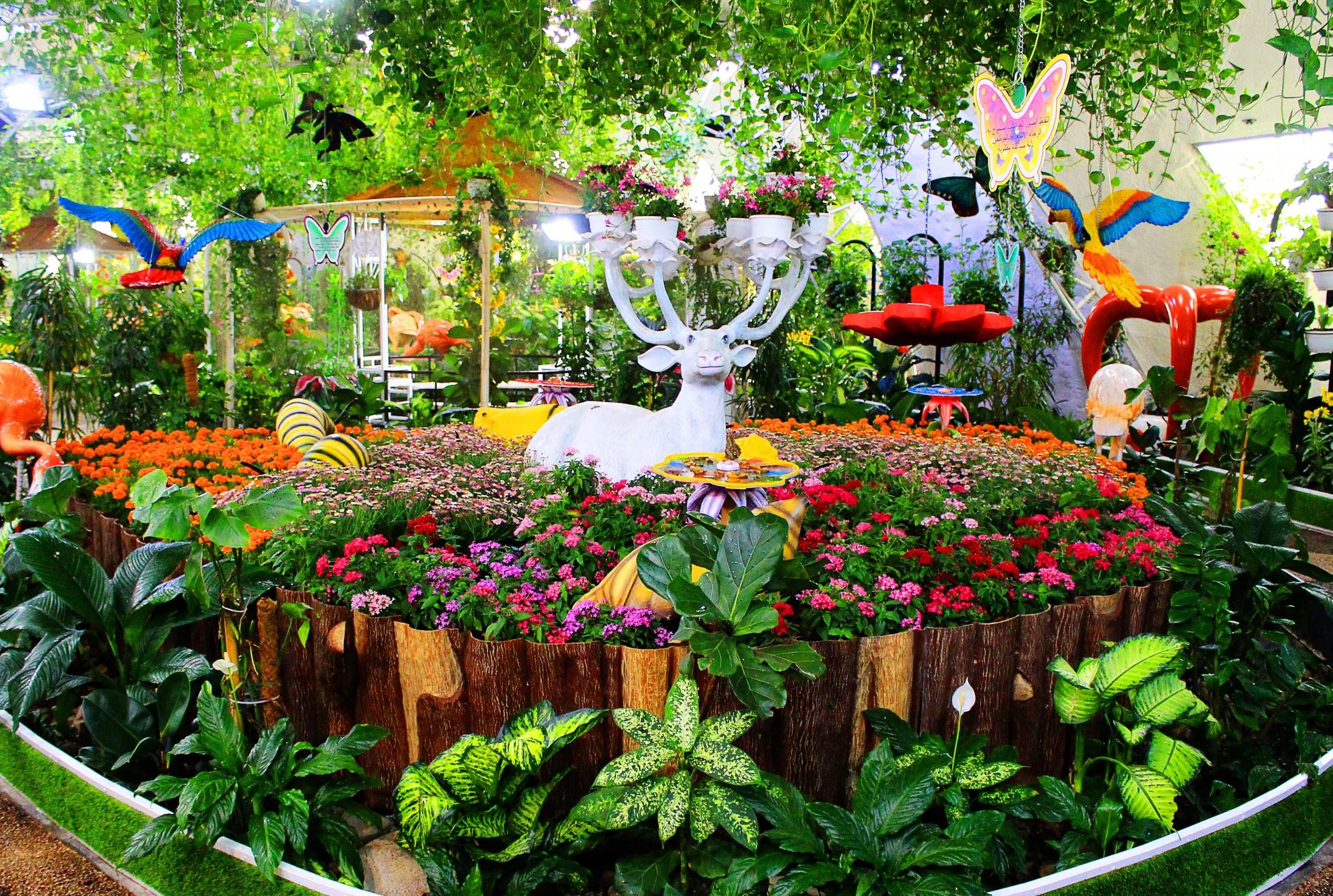 باغ پروانه دبی