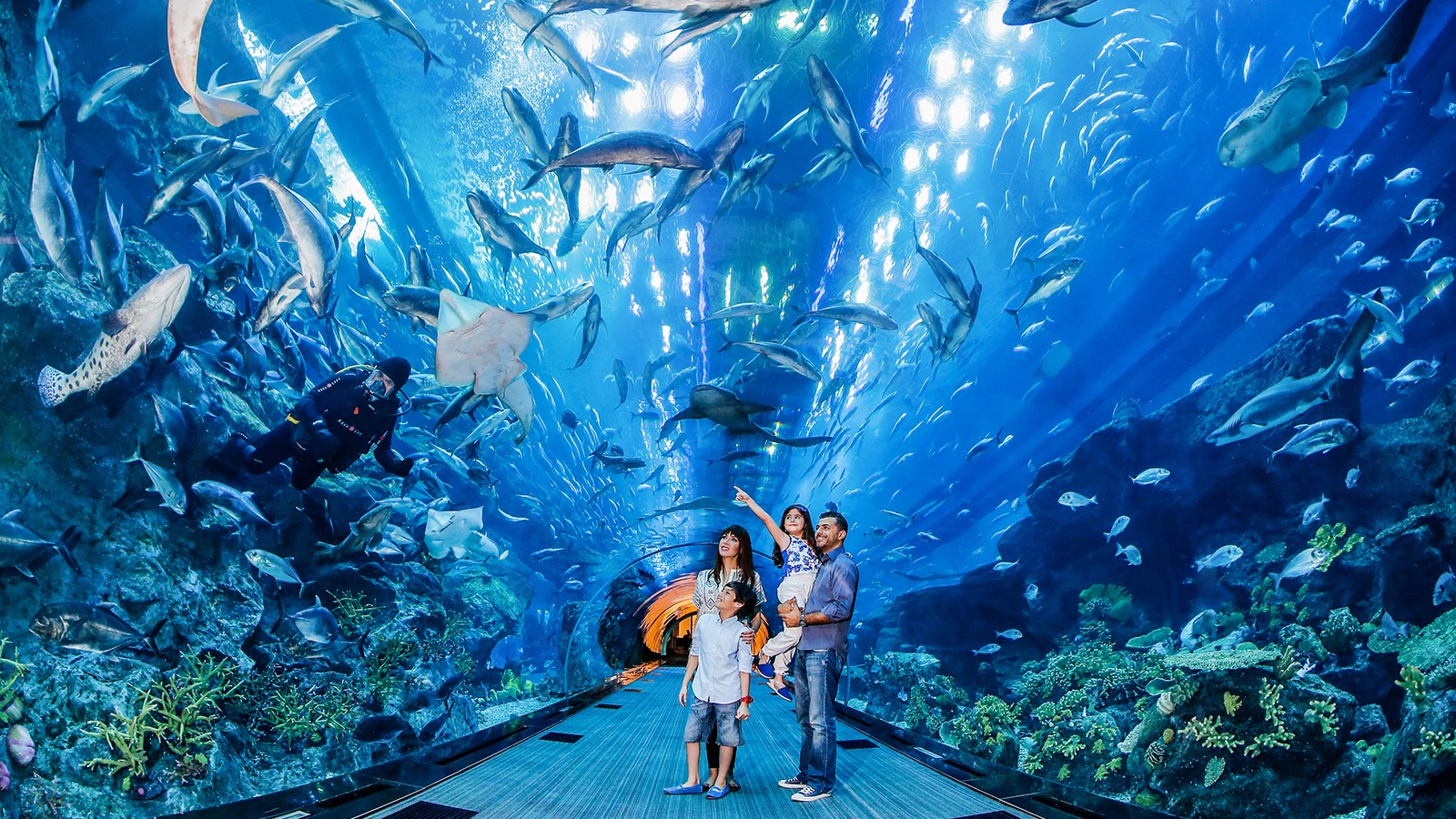 آکواریوم و باغ‌ وحش زیر آب دبی