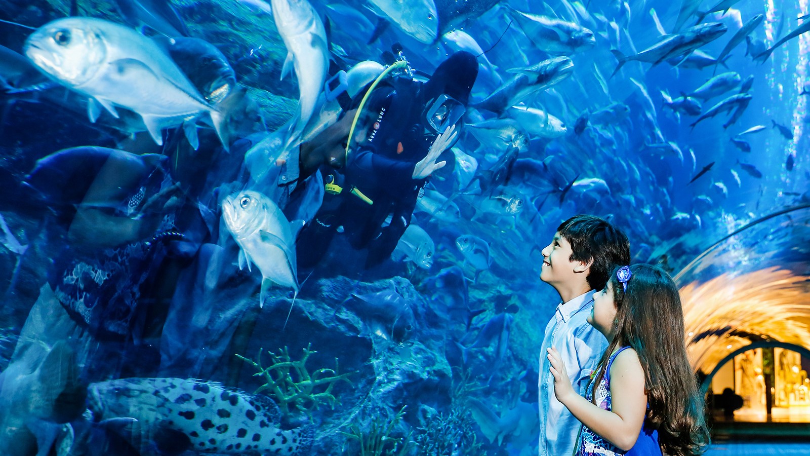 آکواریوم و باغ‌ وحش زیر آب دبی