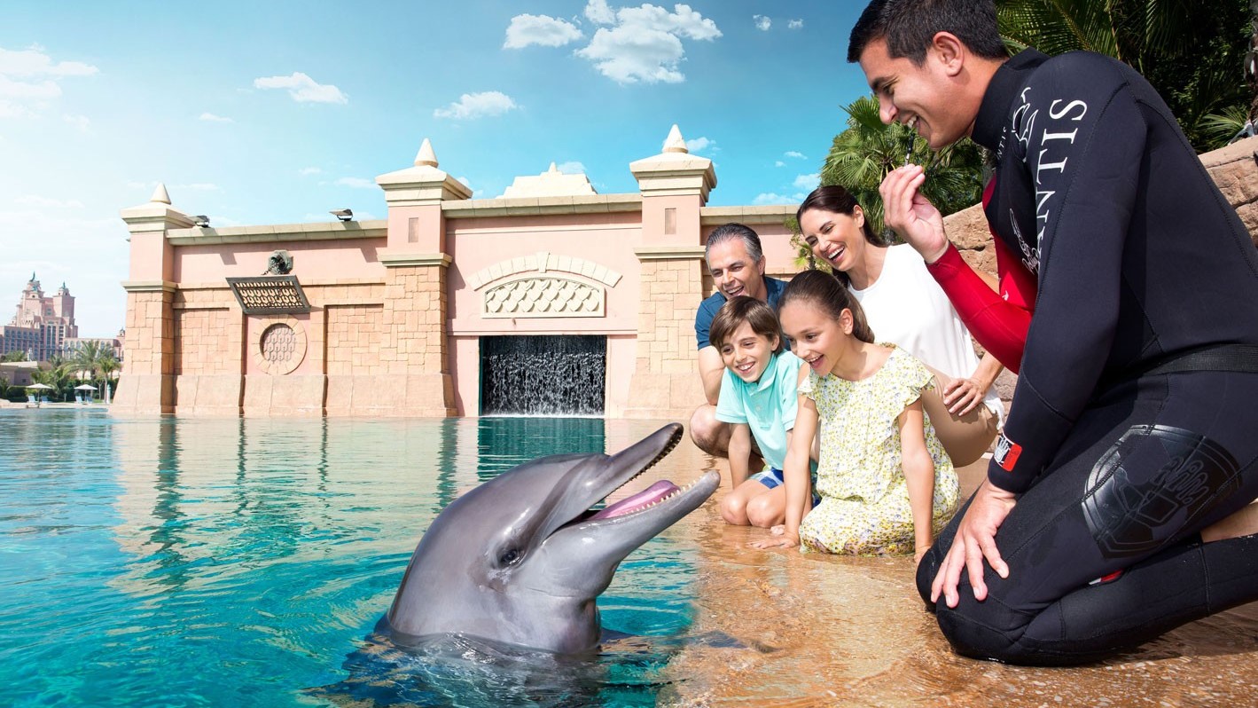 تجربه‌ی شنا با دلفین‌ها