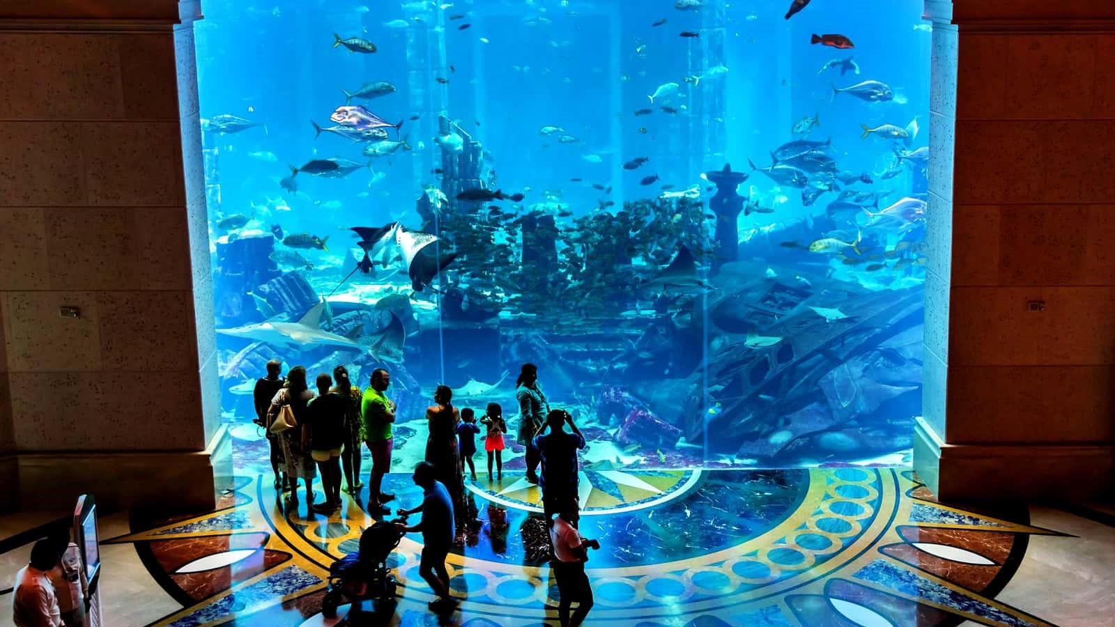 آکواریوم لاست چمبرز دبی