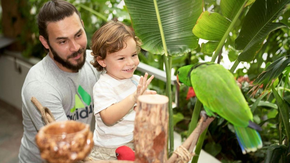 گرین پلنت سیاره سبز دبی