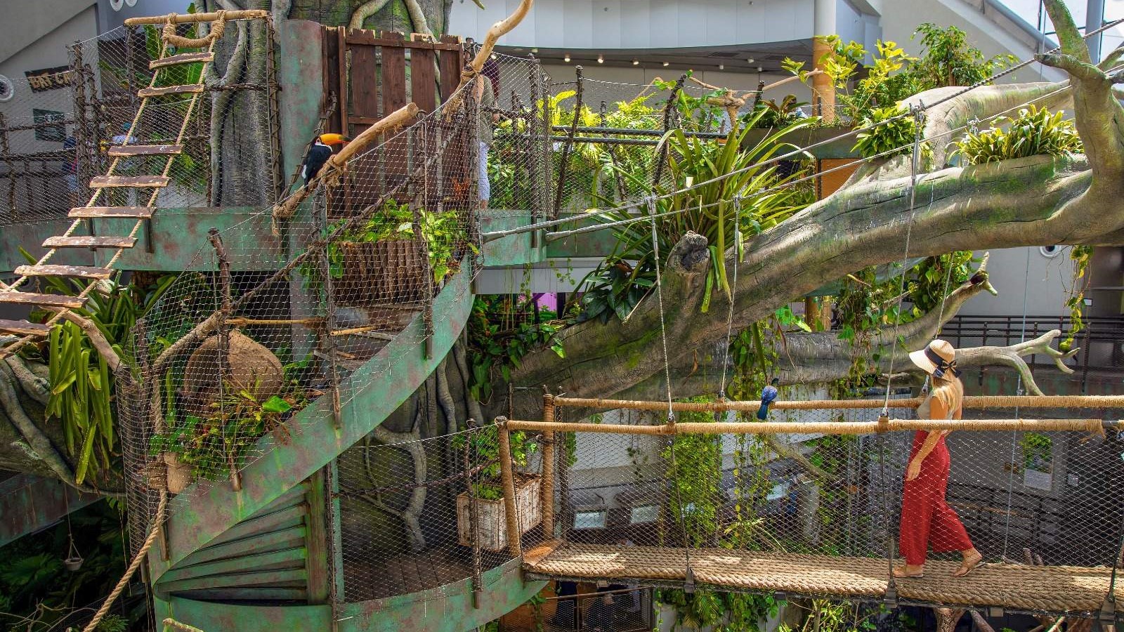 گرین پلنت سیاره سبز دبی