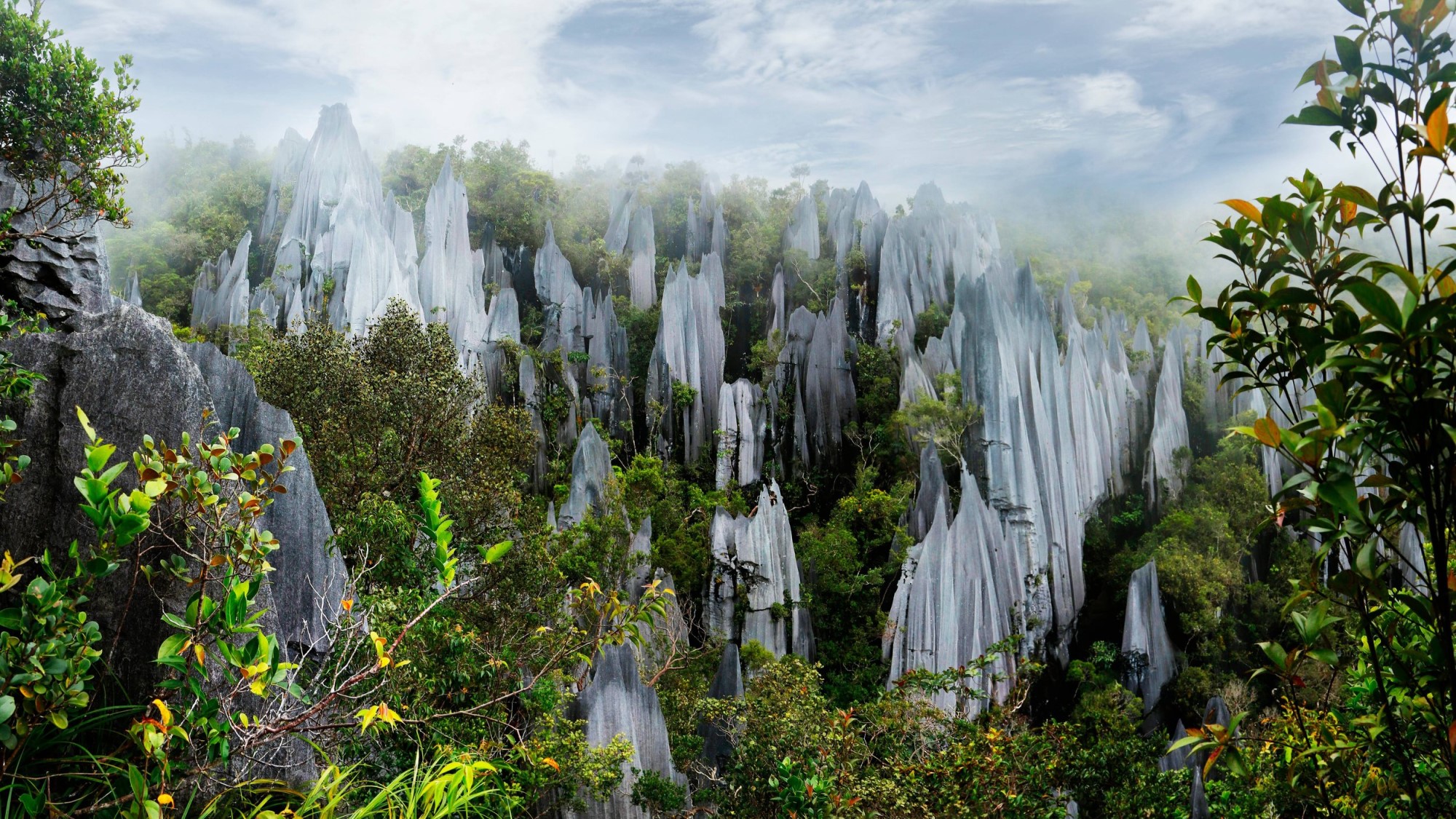 پارک ملی گونونگ مولو