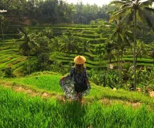 بهترین زمان سفر به بالی