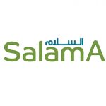 سلام ایر