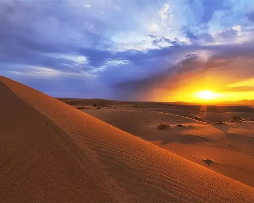 مصر
