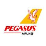 پگاسوس